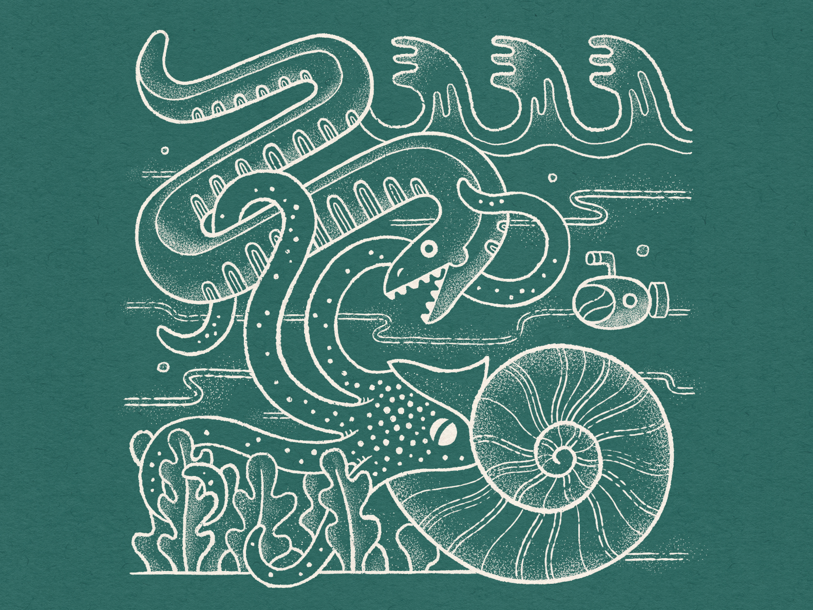 Nautilus By Travis Stewart On Dribbble