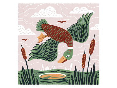 Waterfowl. americana design duck illustration procreate waterfowl