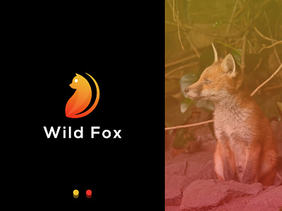 Wild Fox Logo Design, Fox Logo, Minimalist
