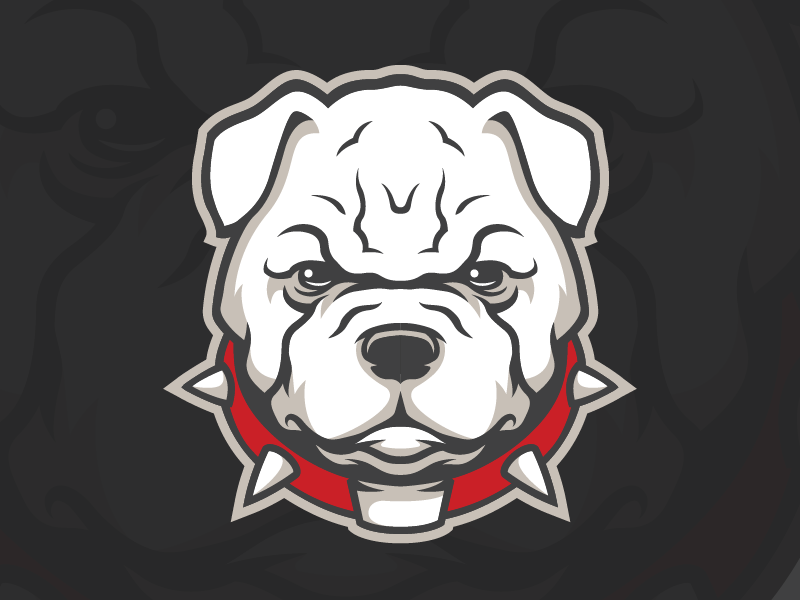 Bulldog by Evan Hiebert on Dribbble