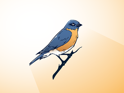 Bluebird bird bluebird feather illustration sketch tweet