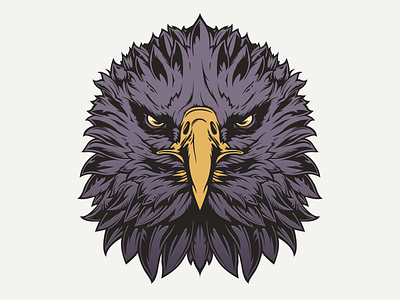 Eagle Head beak bird eagle feather head illustration intense regal stare