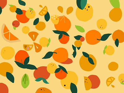 oranges design diseño illustration