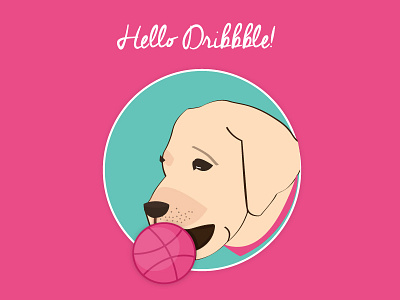 Hello Dribbble! dog dribbble hello thank you