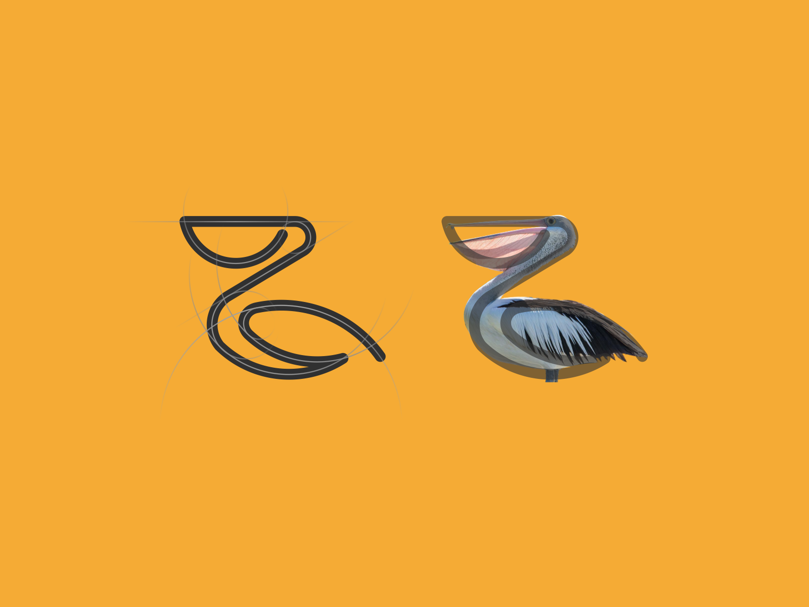 Pelican Cup Logo by Zzoe Iggi on Dribbble