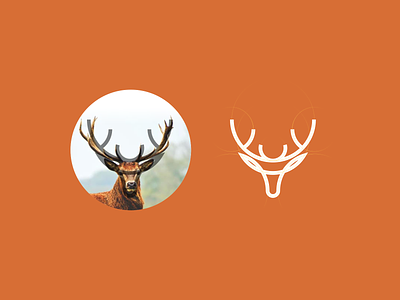 Deer 3d animals animation brand logo branding caracter company cute deer design graphic design grid icon illustration initials logo motion graphics simple symbol ui