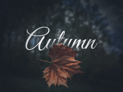 Calligratype | After Effects project file after effects animated animation autumn calligraphy gif october project september text title wallpaper
