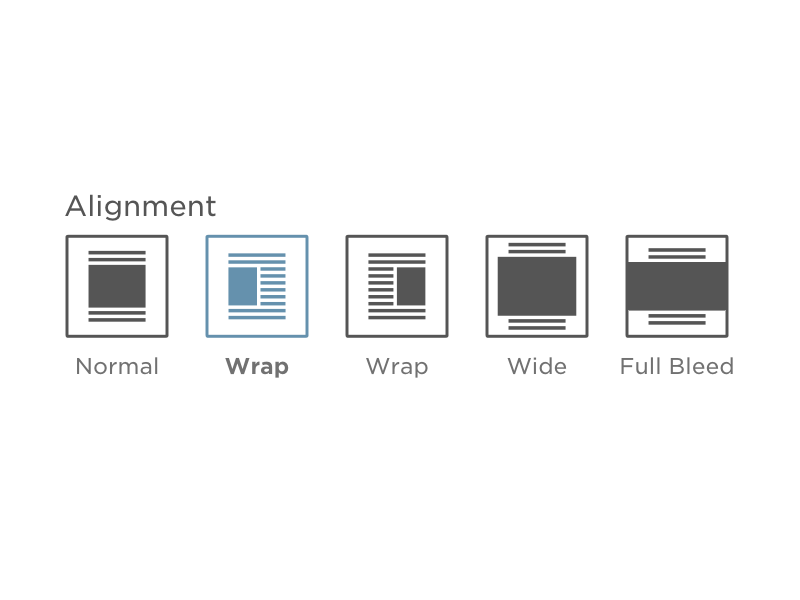 Image Alignment Buttons by Ryan Hamilton on Dribbble