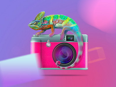Chameleon animals art camera chameleon character color colorful creative creative design creativity design digital art digital illustration digital painting illustration inspiration modern pink retro