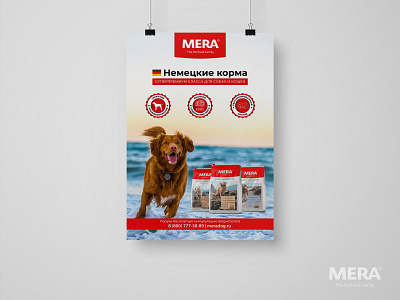 Poster Design "German dog food Mera" advertising banner billboard branding cat design dog feeds german graphic design illustration layout placard polygraphy poster print printing typography vector web