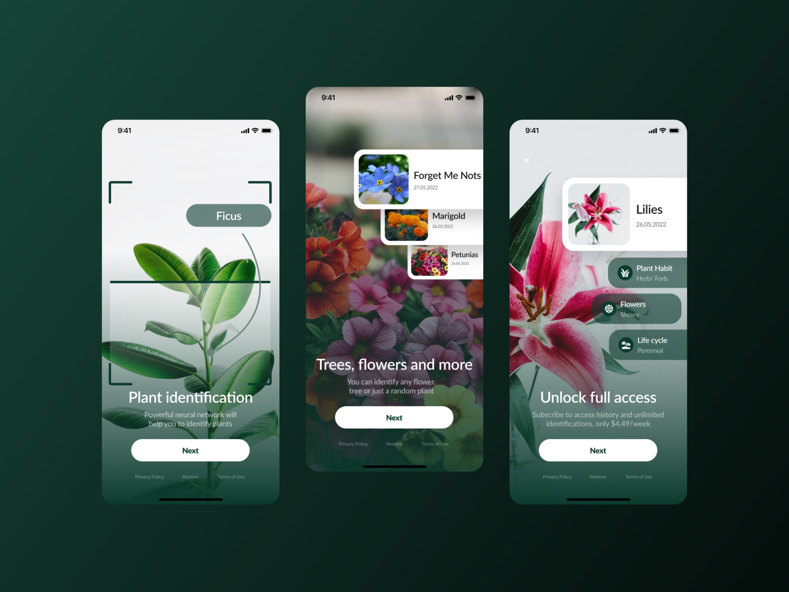 plant-id-mobile-app-by-darya-on-dribbble