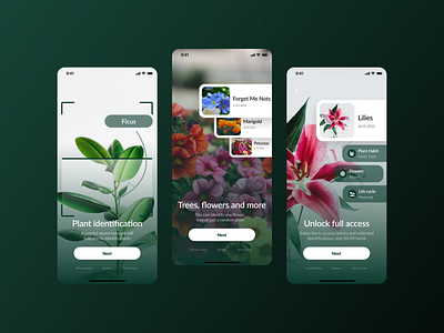 Plant ID Mobile App