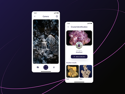 Crystal ID app design mobile ui