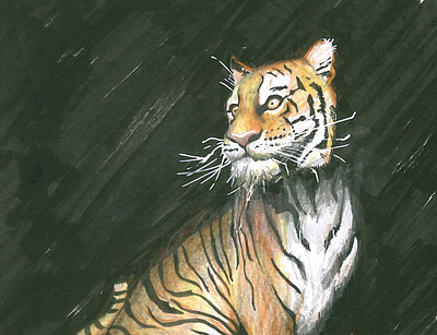 Tiger character animalart animaldrawing colored coloredpencil drawingart graphic design illustration pencil pencilwrok tiger tigerdrawing