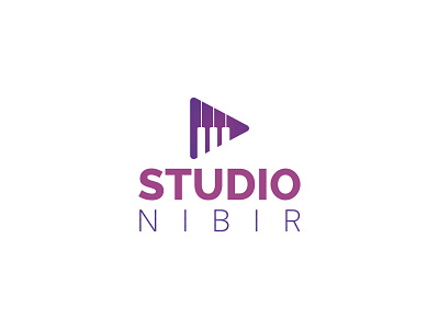 Studio Nibir Logo branding icon logo