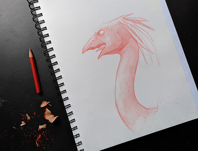 Primitive bird design draw illustration pencil primitive red sketch sketchbook