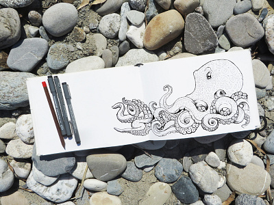 Octopus draw illustration manual octopus pen pencil sea sketch sketchbook