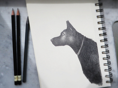 Perro Loco dog draw graphite illustration manual paper pencil perro portrait sketch sketchbook
