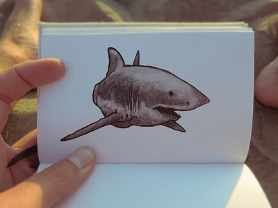 Jaws artwork design draw illustration jaws ocean sea shark sketch sketchbook tiburon white shark