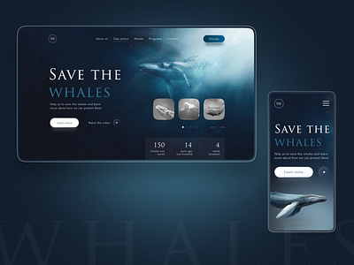 Landing Page for the Charitable foundation <Save the Whales> design landing page save the whales ui web design whale whales