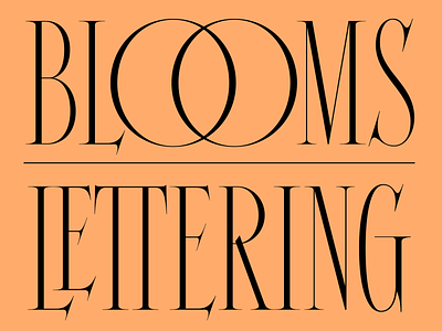 Nolita 01 100 day project blooms design graphic design lettering letters ligature ligatures type typeface typeface design typography