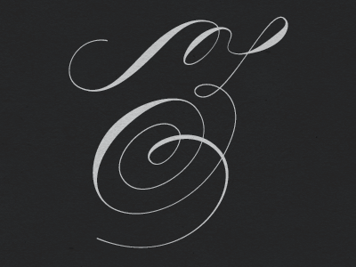 Z black and white letter lettering script swashes z