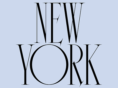New York design high contrast lettering new york type type by tina typography