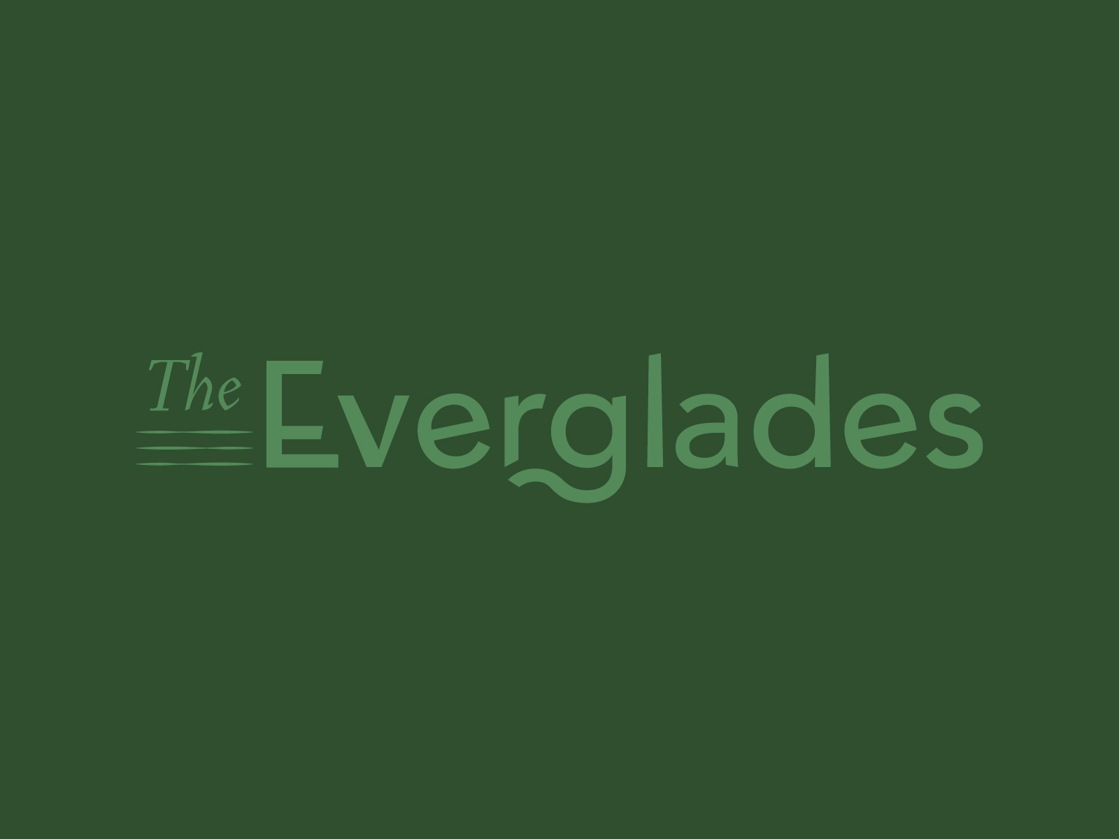 The Everglades by Salem Peters on Dribbble