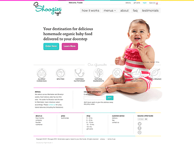 Shoogies NYC - Homepage baby food design front end icons ux