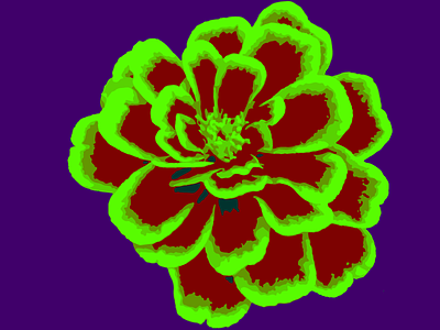Psychedelic Flower flower green nyc psychedelic purple red