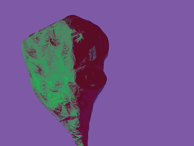Psychedelic Head (Casa Azul) art frida frida khalo green psychedelic purple sculpture