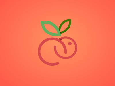 Logo branding color fruits logo rabbit