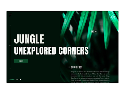 Unexplored Jungle - Web Concept clean design dribbble explore information design jungle nature ui user experience user interface ux