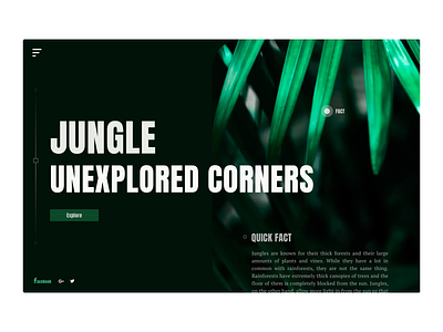 Unexplored Jungle - Web Concept