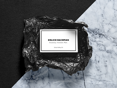 Dream Cards #2 // Erlich Bachman business cards concept print silicon valley