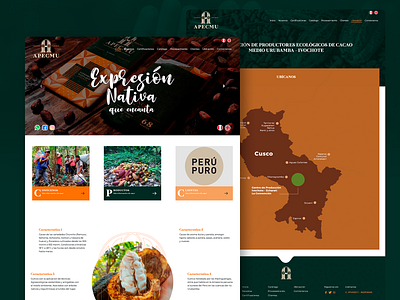 Web Design - APECMU