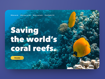 30 Day Challenge - Day 28 30 day challenge 30 days of design 30daychallenge 30daysofdesign coral reef donate donation hero hero image hero section nonprofit nonprofits ocean oceans reef ui ui design web web design website