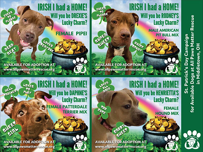 St. Patrick's Day Campaign for APM Rescue animal rescue branding canva holiday campaign illustrator layout design