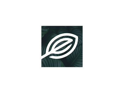 Elevate Holistics Logo Mark brand branding design e elevate elevate holistics icon leaf logo logo design mark square vector