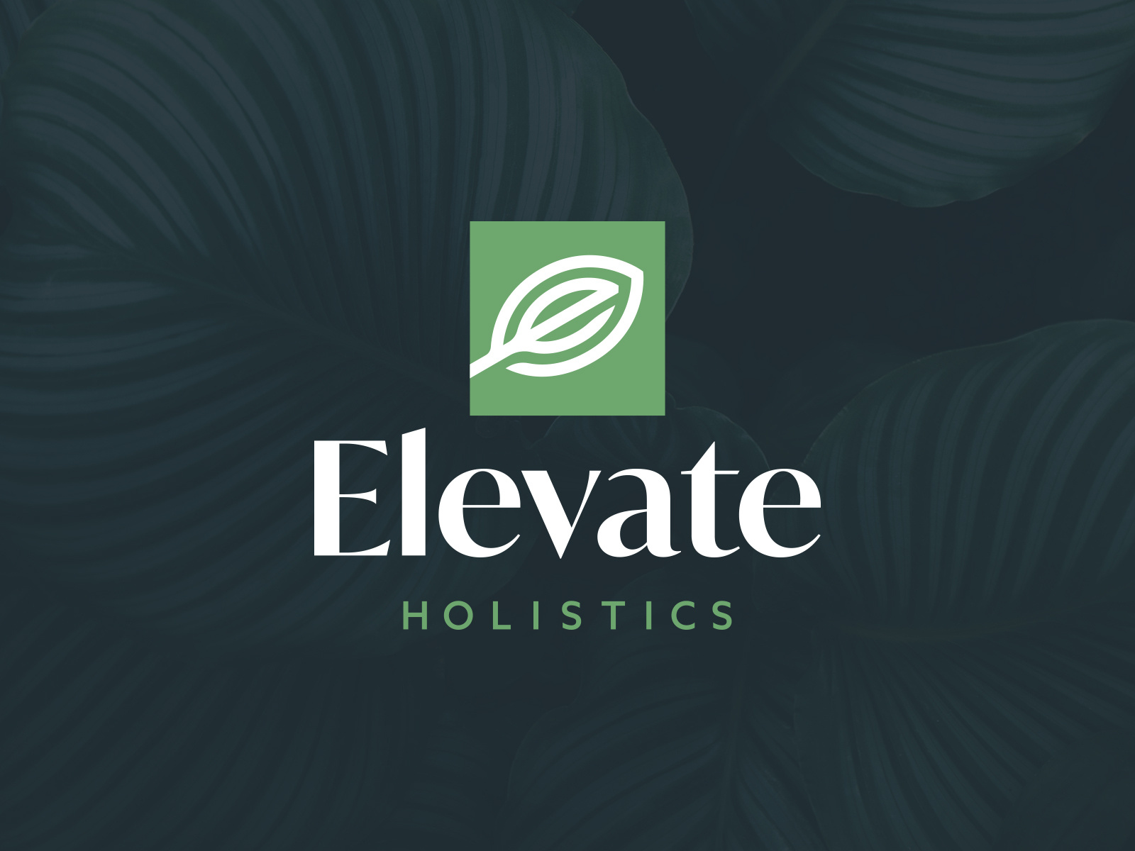Elevate Holistics Logo By Ryan Kirkpatrick For Liquidfish On Dribbble