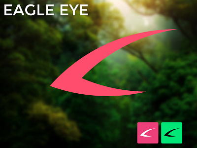 Eagle Eye design graphic design illustration logo ui