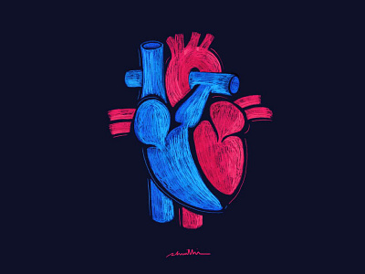 The Heart heart love