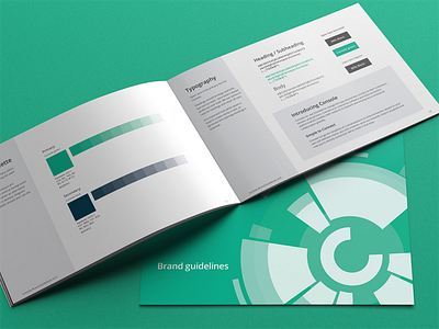 Brand guidelines brand colours document fonts guidelines marketing rules typography