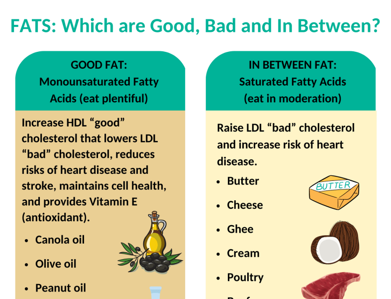 Dribbble - What-are-Good-Bad-and-in-Between-Fats-INFOGRAPHIC.png By ...