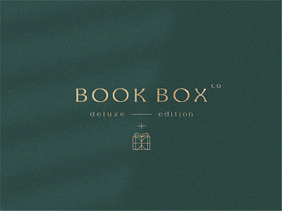 Alternative version of the logo for BOOK BOX co. branding design graphic design logo vector