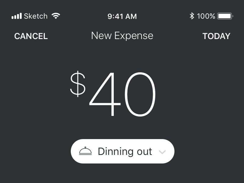 Expenses app concept app ios expenses