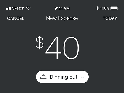Expenses app concept