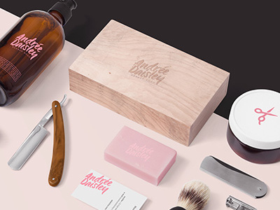 Andree Daisley Barber Shop beauty brand brush business company corporate elegant hair logo modern pink stationery