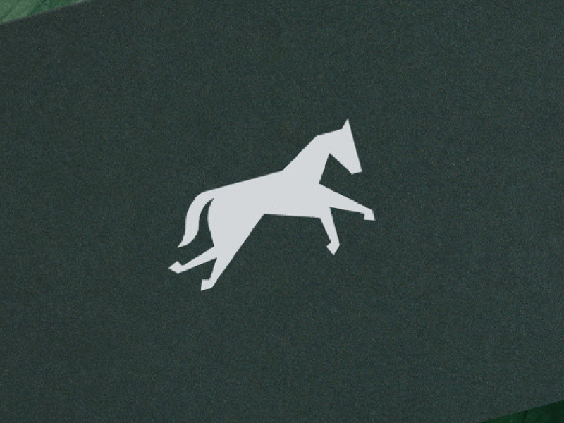 Horse Project logo by SB-Brands on Dribbble