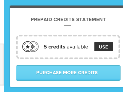 Prepaid Credits Statement